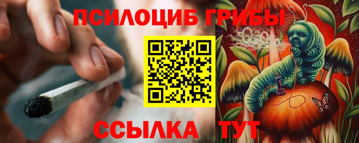 Галлюциногенные грибы мицелий Можга